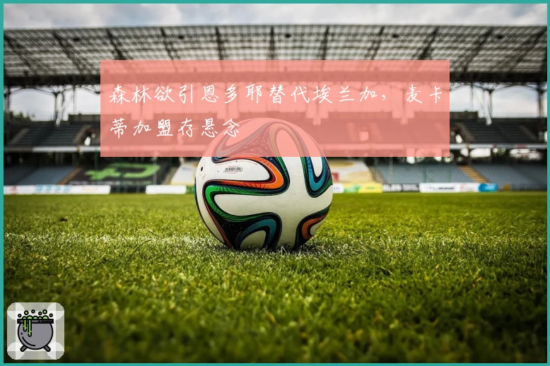 森林欲引恩多耶替代埃兰加,麦卡蒂加盟存悬念