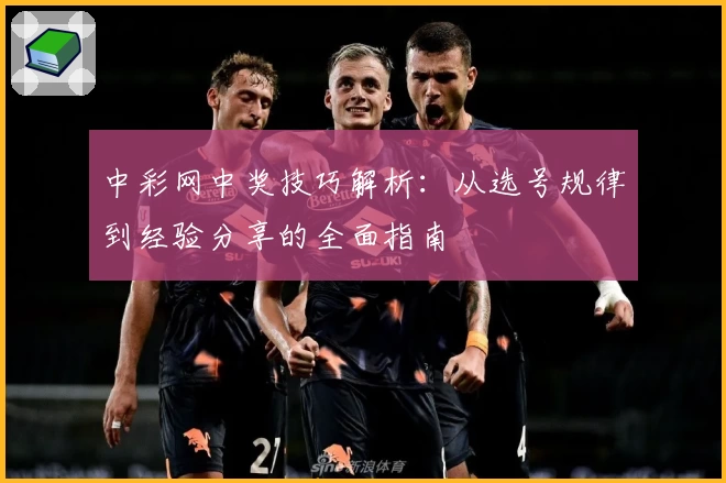 中彩网中奖技巧解析：从选号规律到经验分享的全面指南
