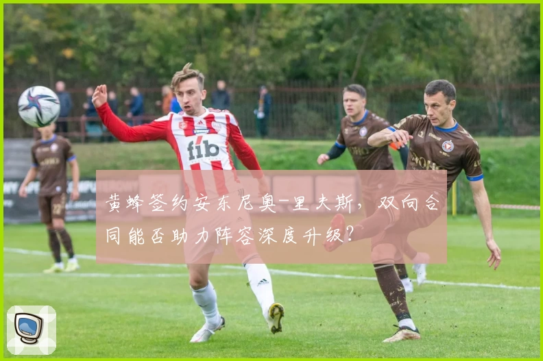 黄蜂签约安东尼奥-里夫斯,双向合同能否助力阵容深度升级?