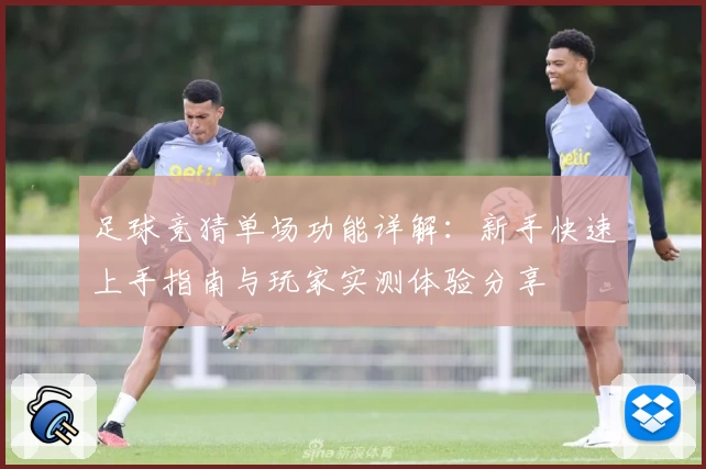 足球竞猜单场功能详解：新手快速上手指南与玩家实测体验分享