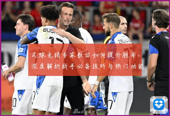 足球竞猜专家教你如何提升胜率，深度解析新手必备技巧与热门功能亮点