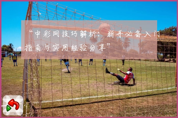“中彩网技巧解析:新手必备入门指南与实用经验分享”