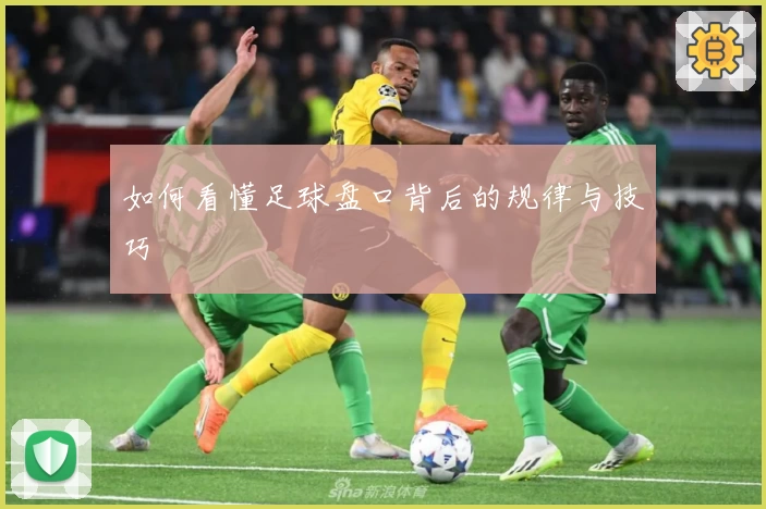 如何看懂足球盘口背后的规律与技巧